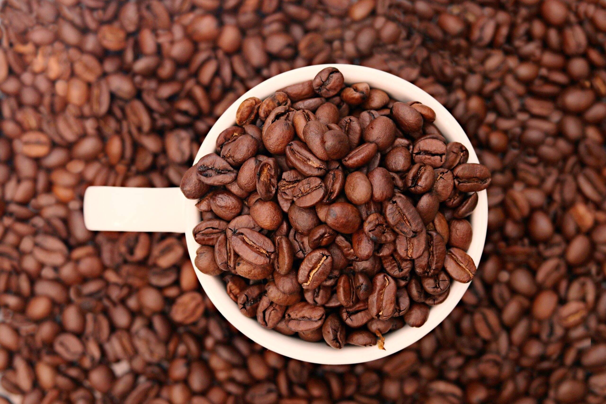 コーヒー豆